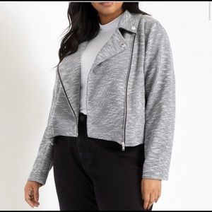 Grey soft Eloquii moto jacket